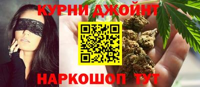 сатива Краснознаменск