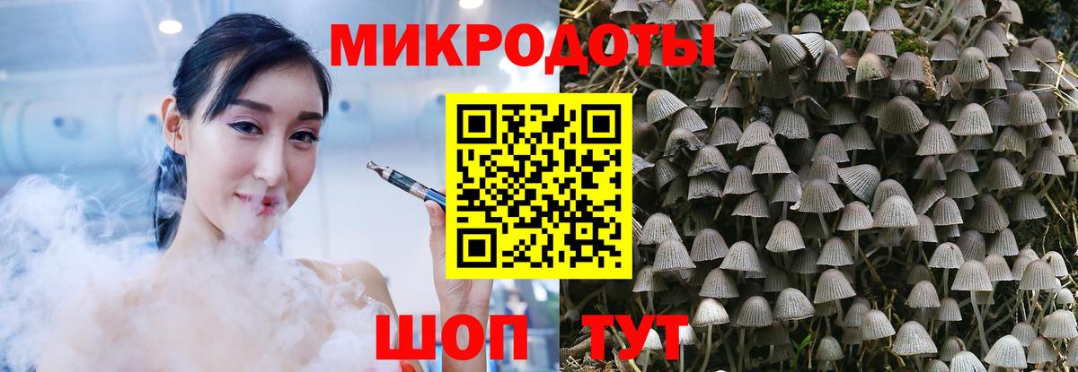 как найти   Псилоцибиновые грибы Cubensis  Вход с VPN  Щёкино 