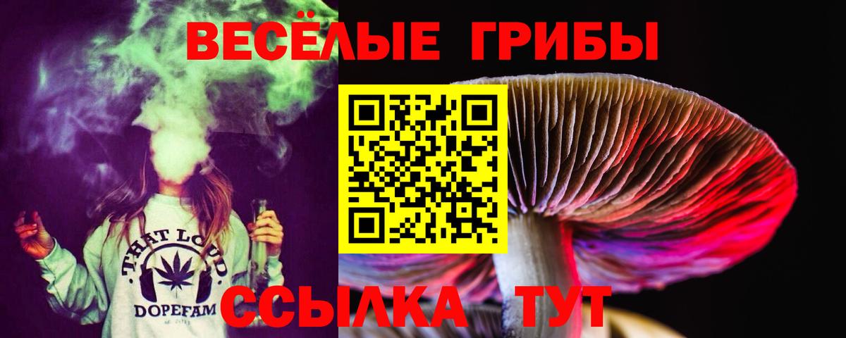 Галлюциногенные грибы мицелий Щёкино